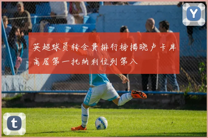 英超球员转会费排行榜揭晓卢卡库高居第一托纳利位列第八